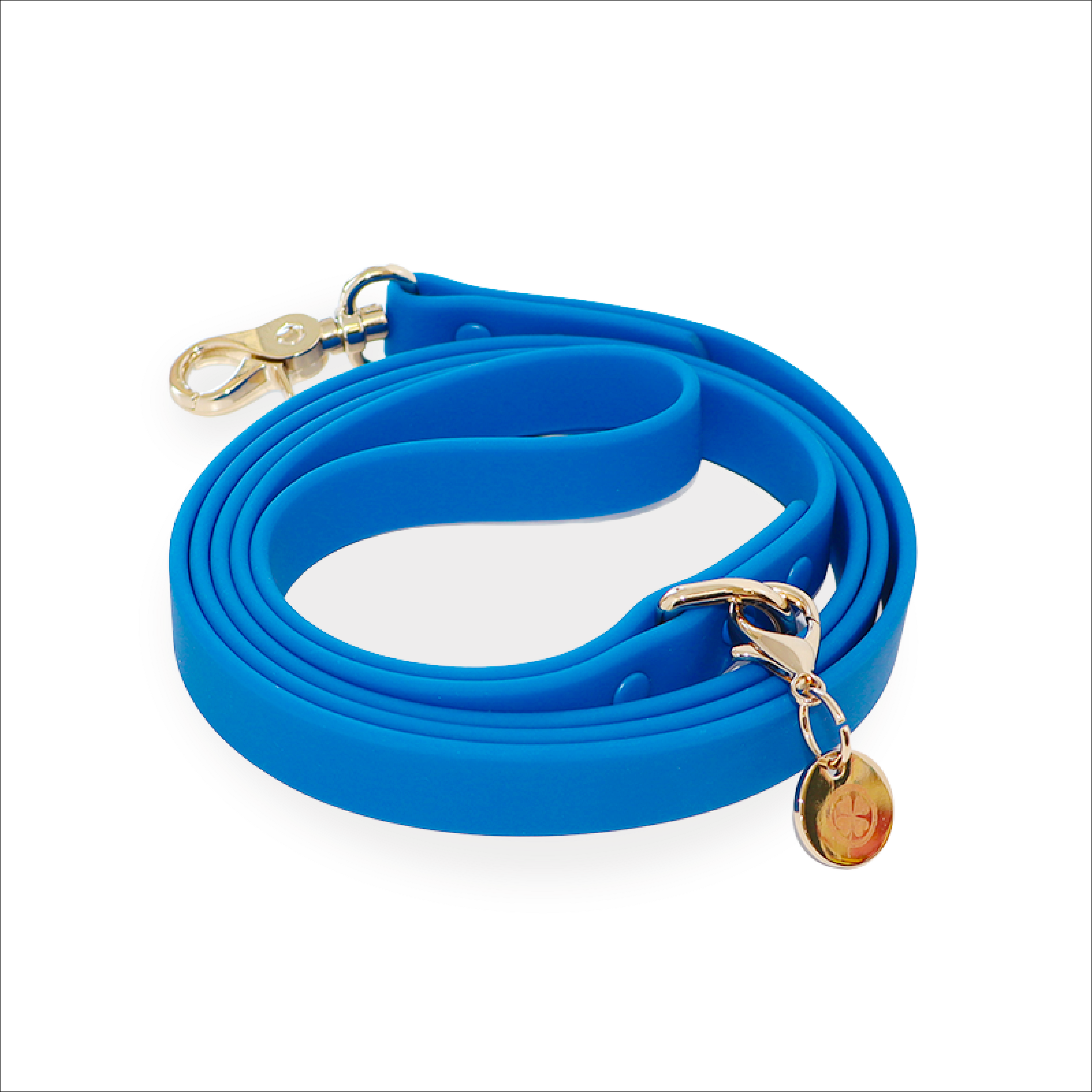 Waterproof Dog Leash | Blue