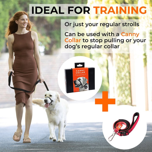 Canny CONNECT Lockable Leash