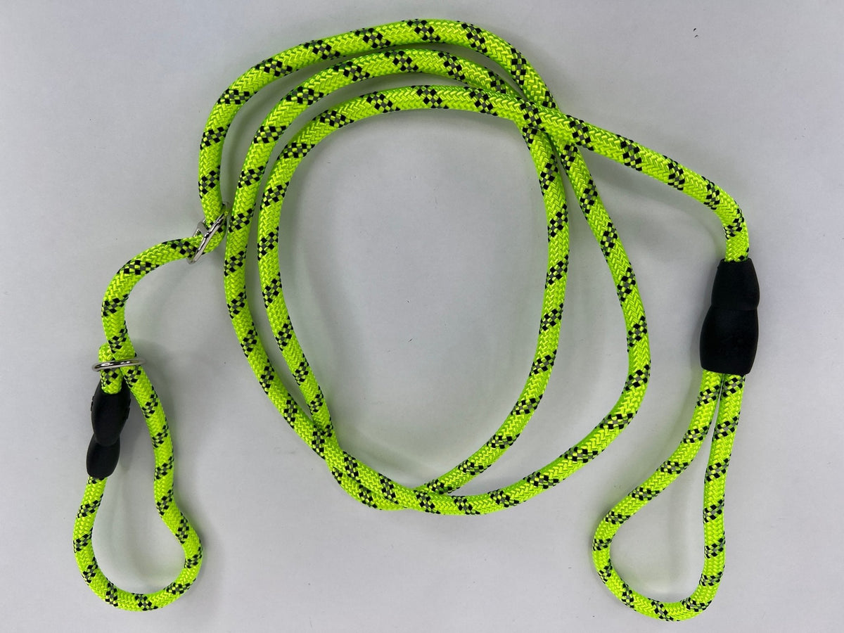 5 Foot Reflective Slip Lead Dog Leash: 8 Colors