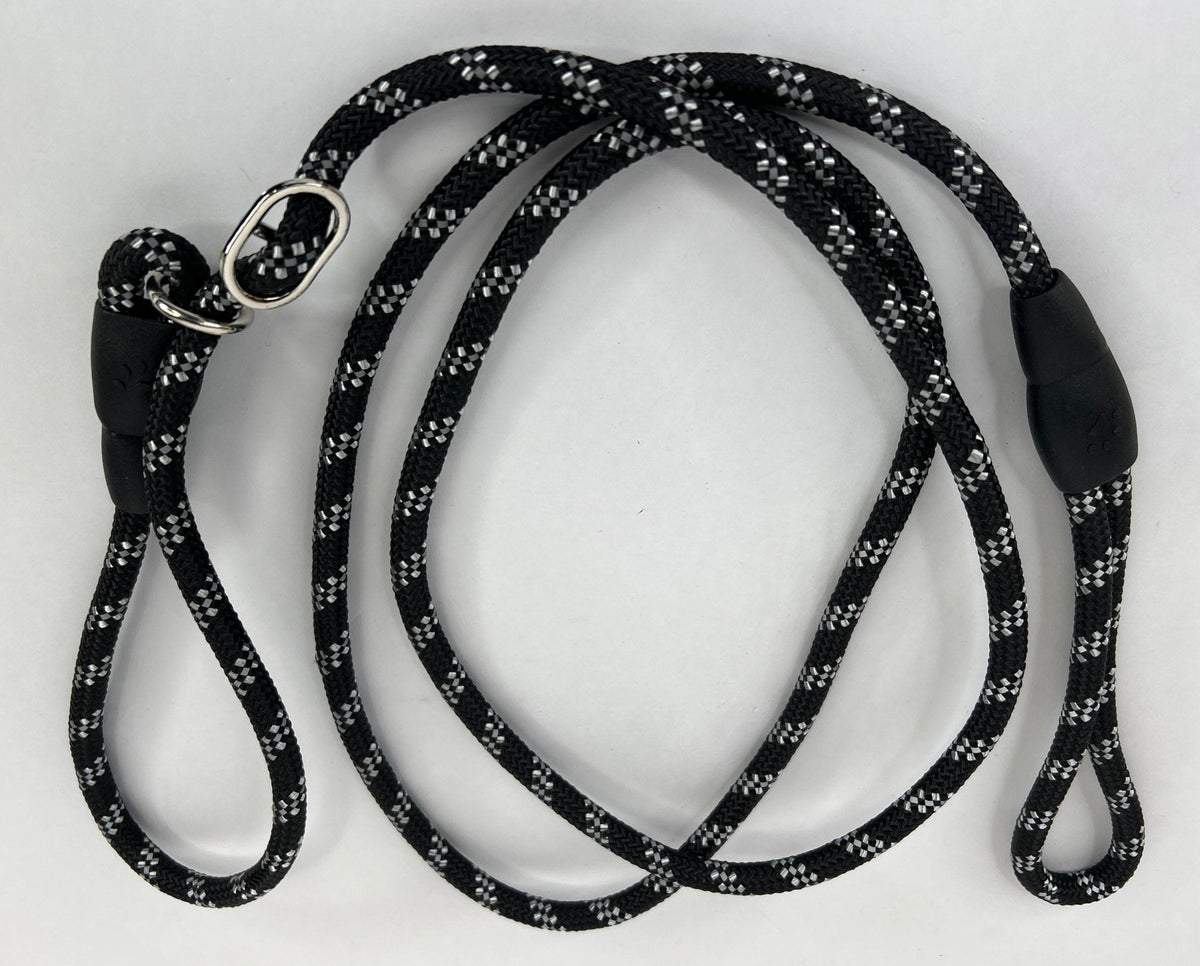 5 Foot Reflective Slip Lead Dog Leash: 8 Colors