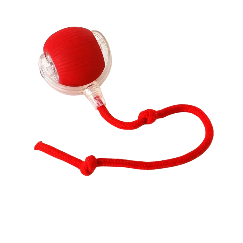 Smart Interactive Cat Ball for Active Play