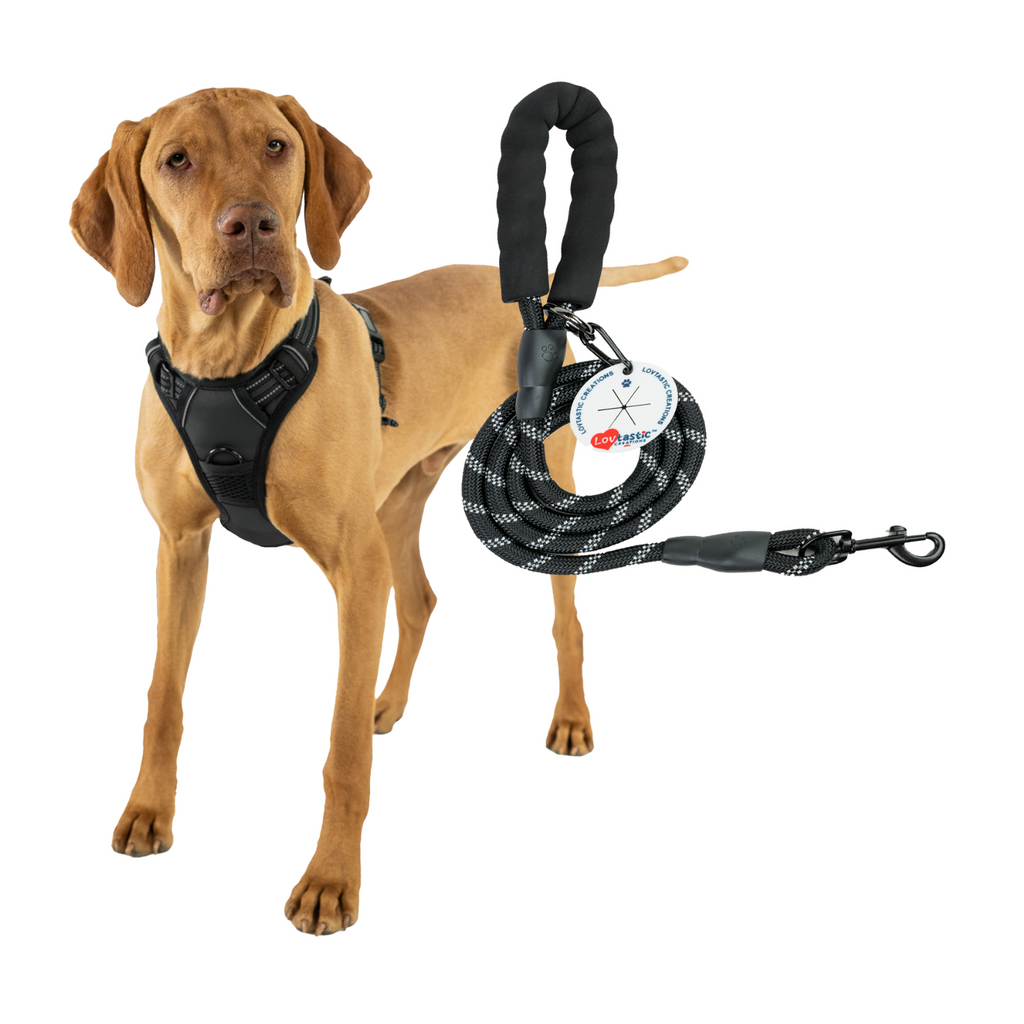 Lovtastic Creations™ No-Pull Dog Harness - with Strong & Durable Dog Leash & Free Poopbag Holder 3pcs Set | Reflective No-Choke Pet Harness
