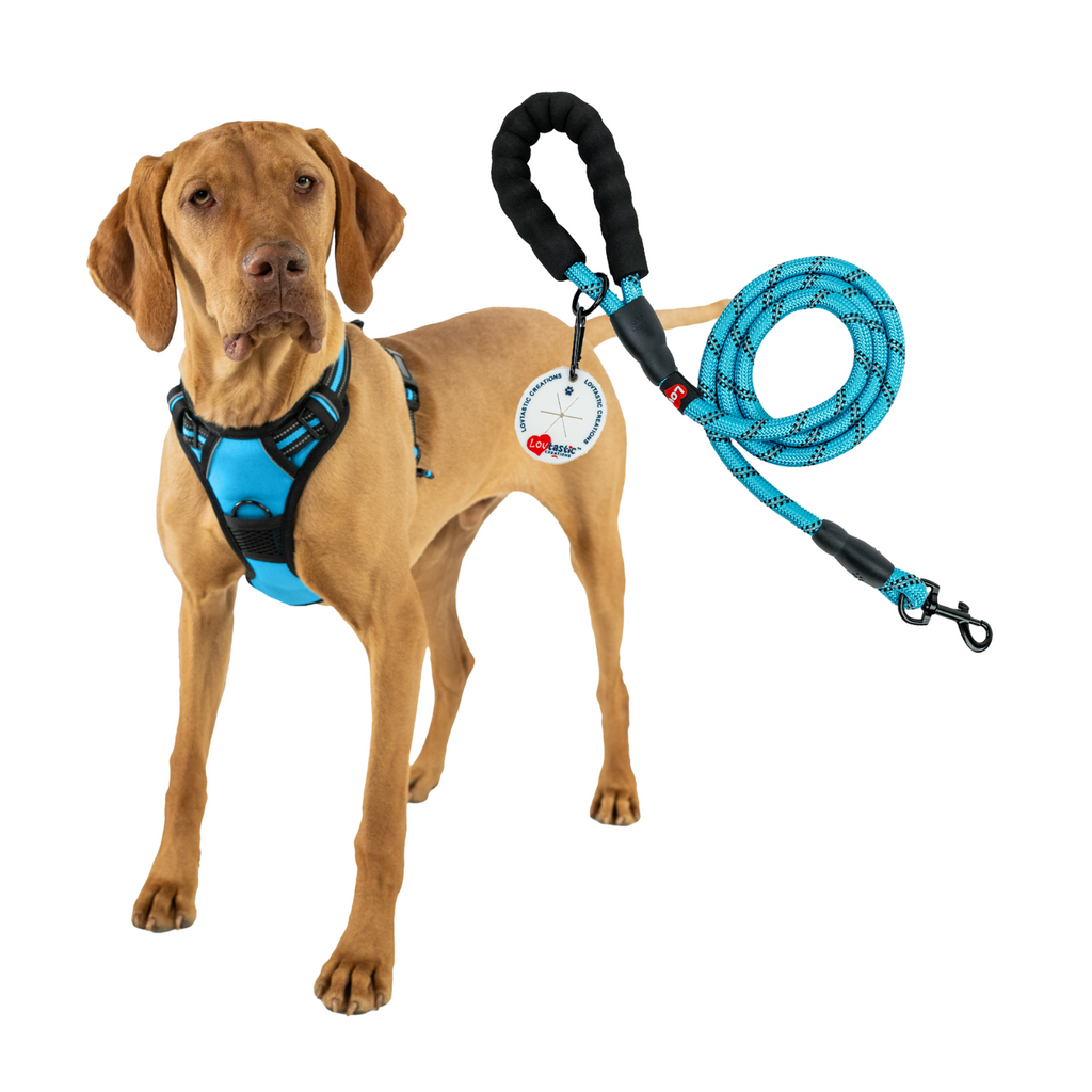 Lovtastic Creations™ No-Pull Dog Harness - with Strong & Durable Dog Leash & Free Poopbag Holder 3pcs Set | Reflective No-Choke Pet Harness