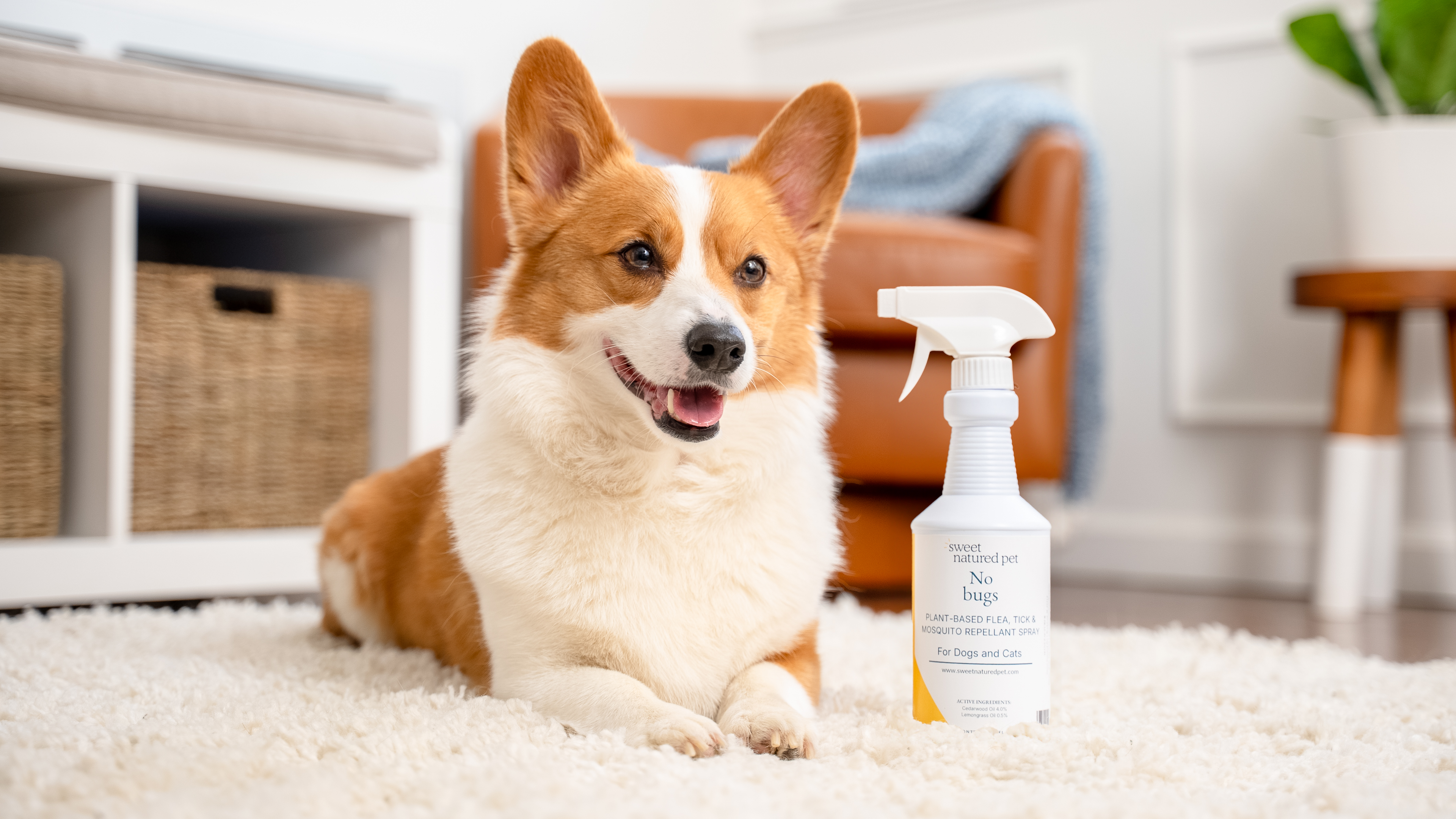 Natural Flea, Tick & Mosquito Spray for Dogs & Cats