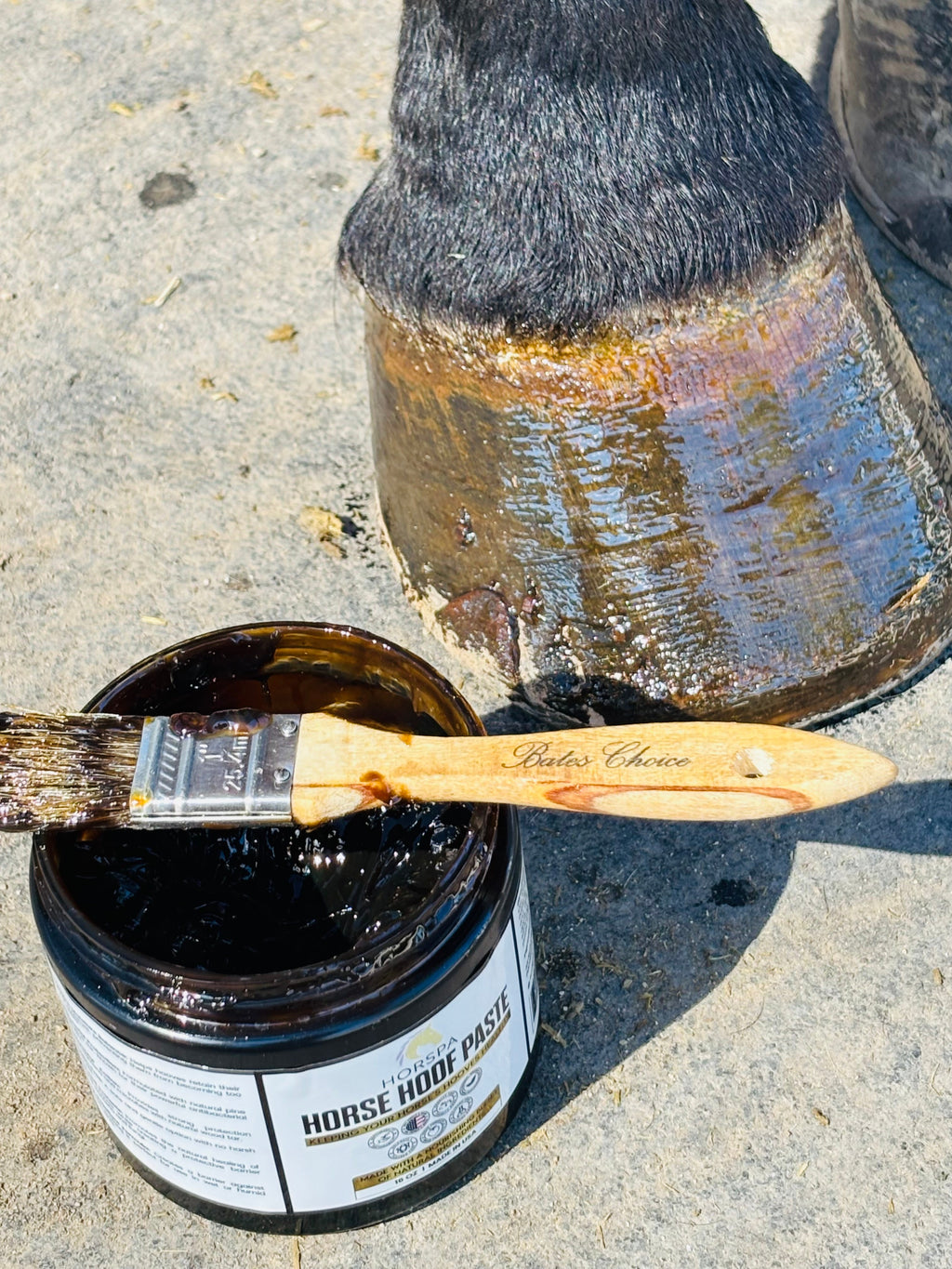 Horse Hoof PASTE & brush applicator 16 oz