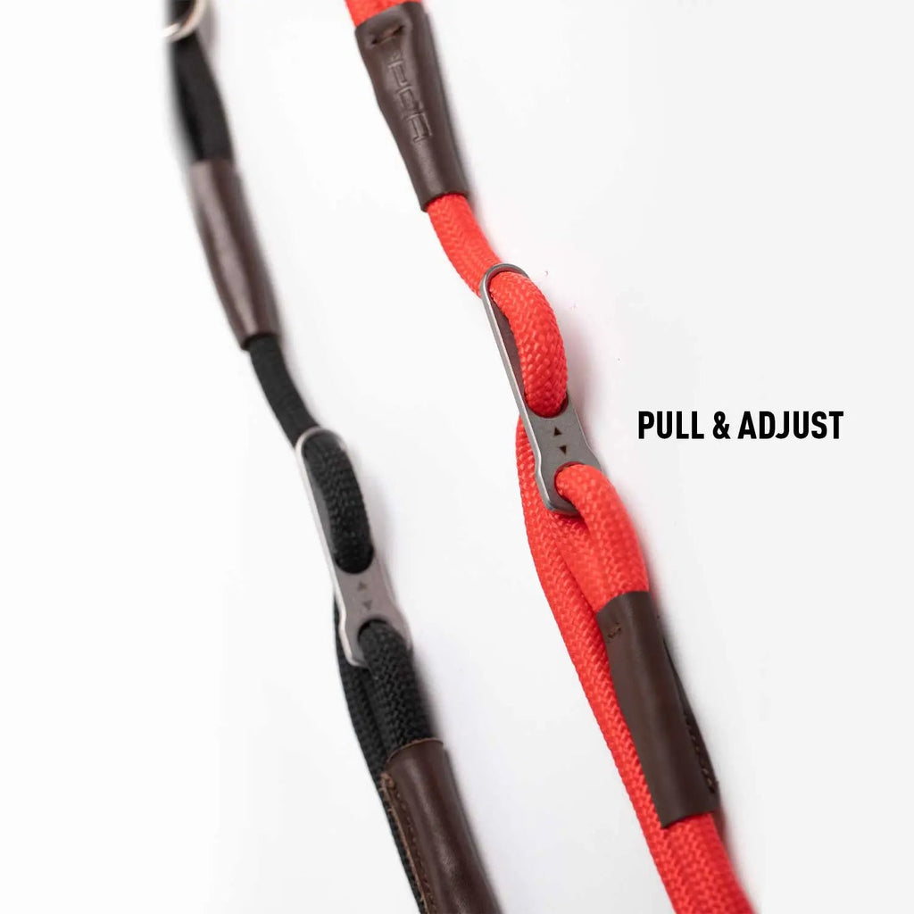 GPCA Dog Leash LITE Bundle