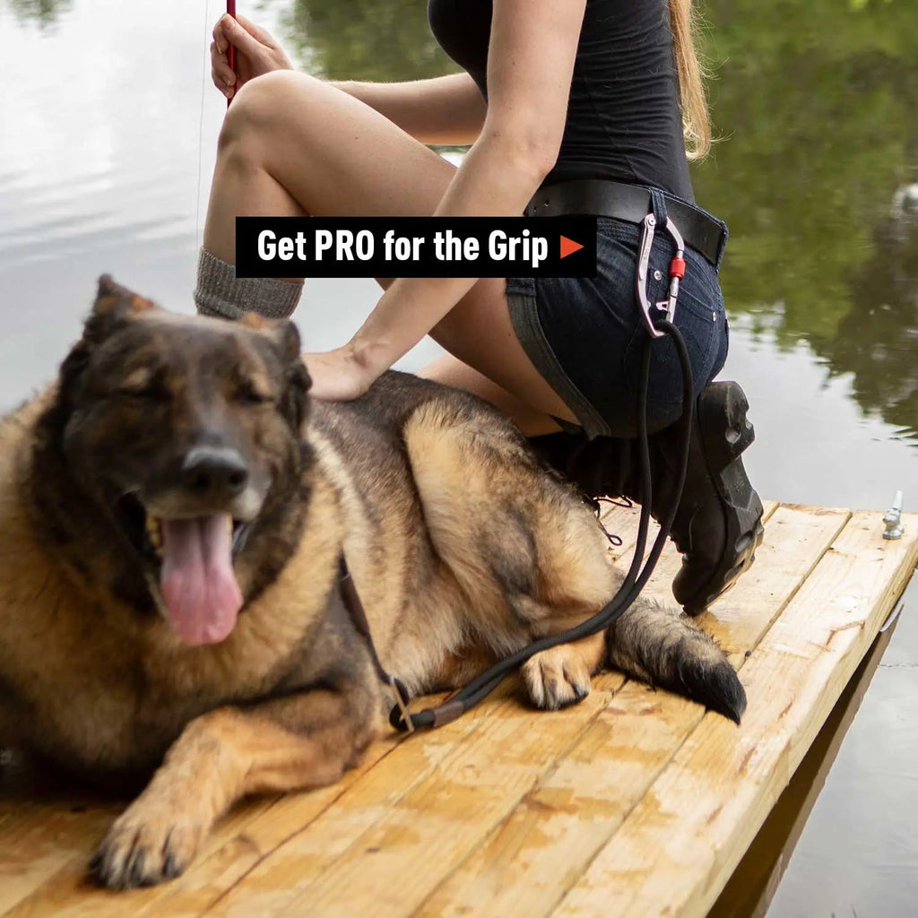 GPCA Dog Leash LITE Bundle