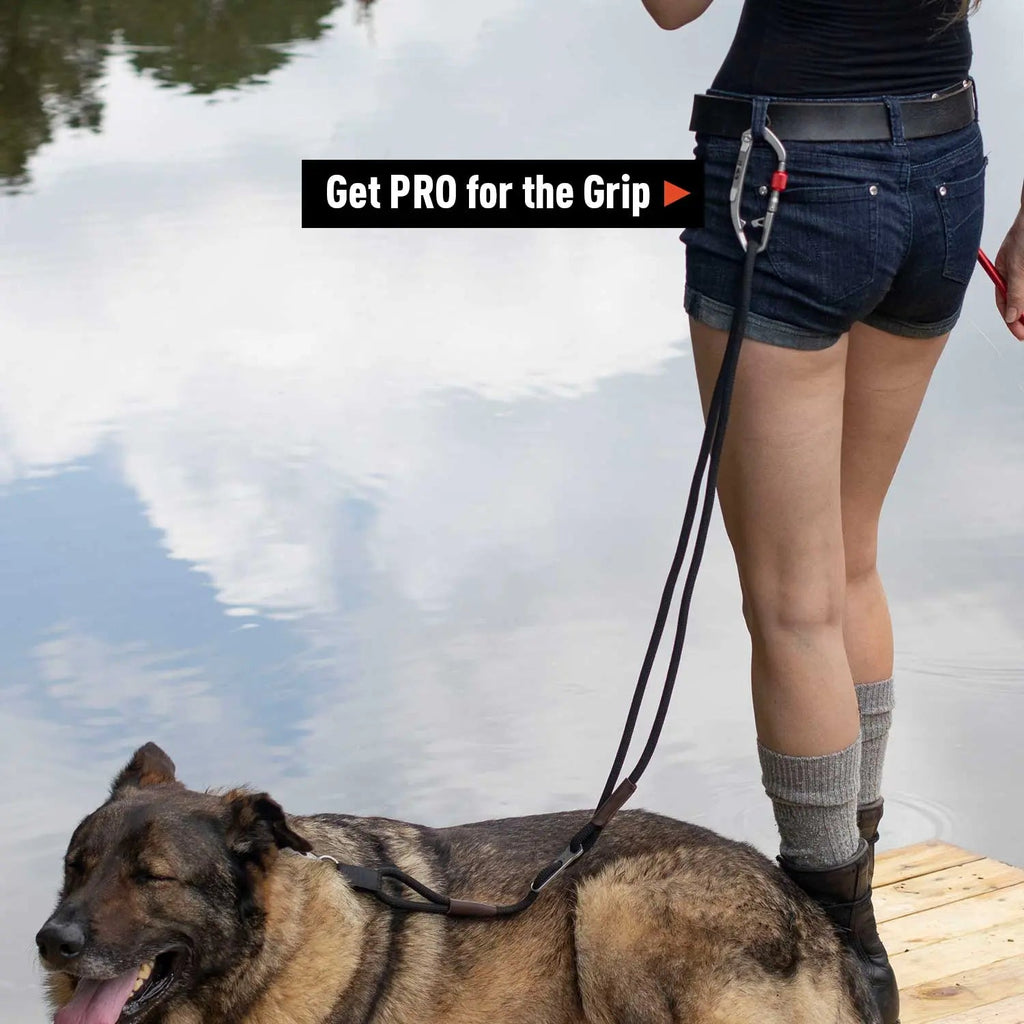 GPCA Dog Leash LITE Bundle