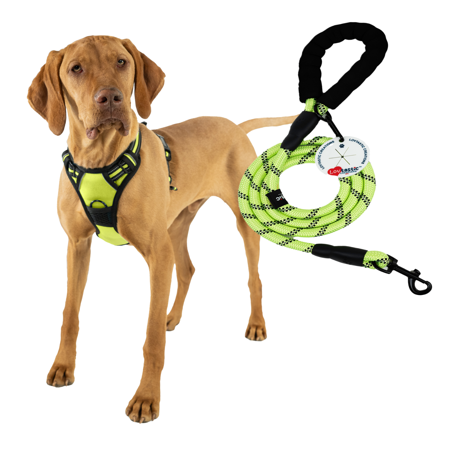 Lovtastic Creations™ No-Pull Dog Harness - with Strong & Durable Dog Leash & Free Poopbag Holder 3pcs Set | Reflective No-Choke Pet Harness