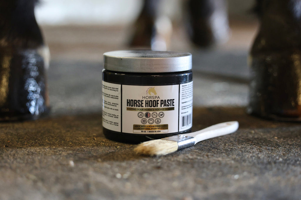 Horse Hoof PASTE & brush applicator 16 oz
