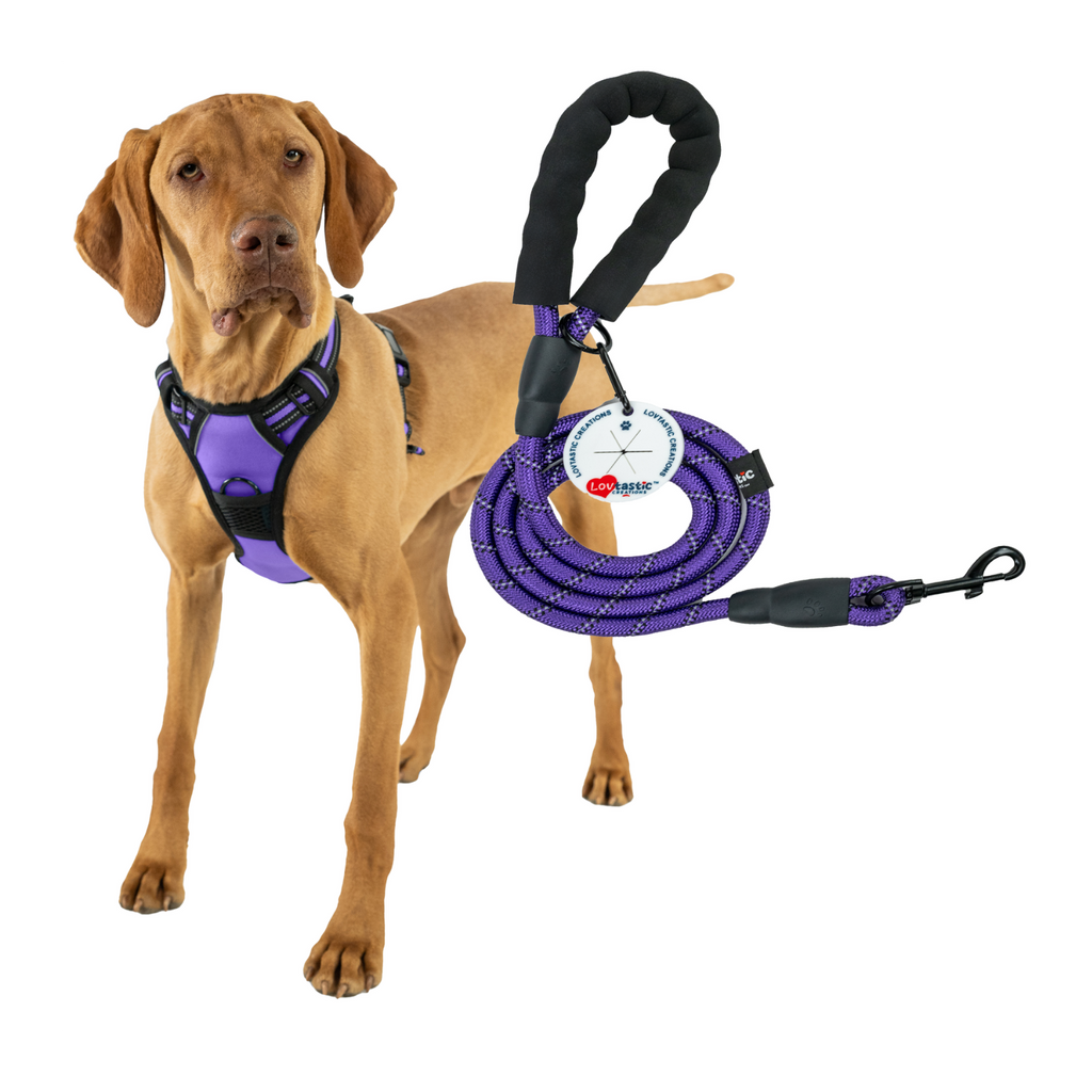 Lovtastic Creations™ No-Pull Dog Harness - with Strong & Durable Dog Leash & Free Poopbag Holder 3pcs Set | Reflective No-Choke Pet Harness