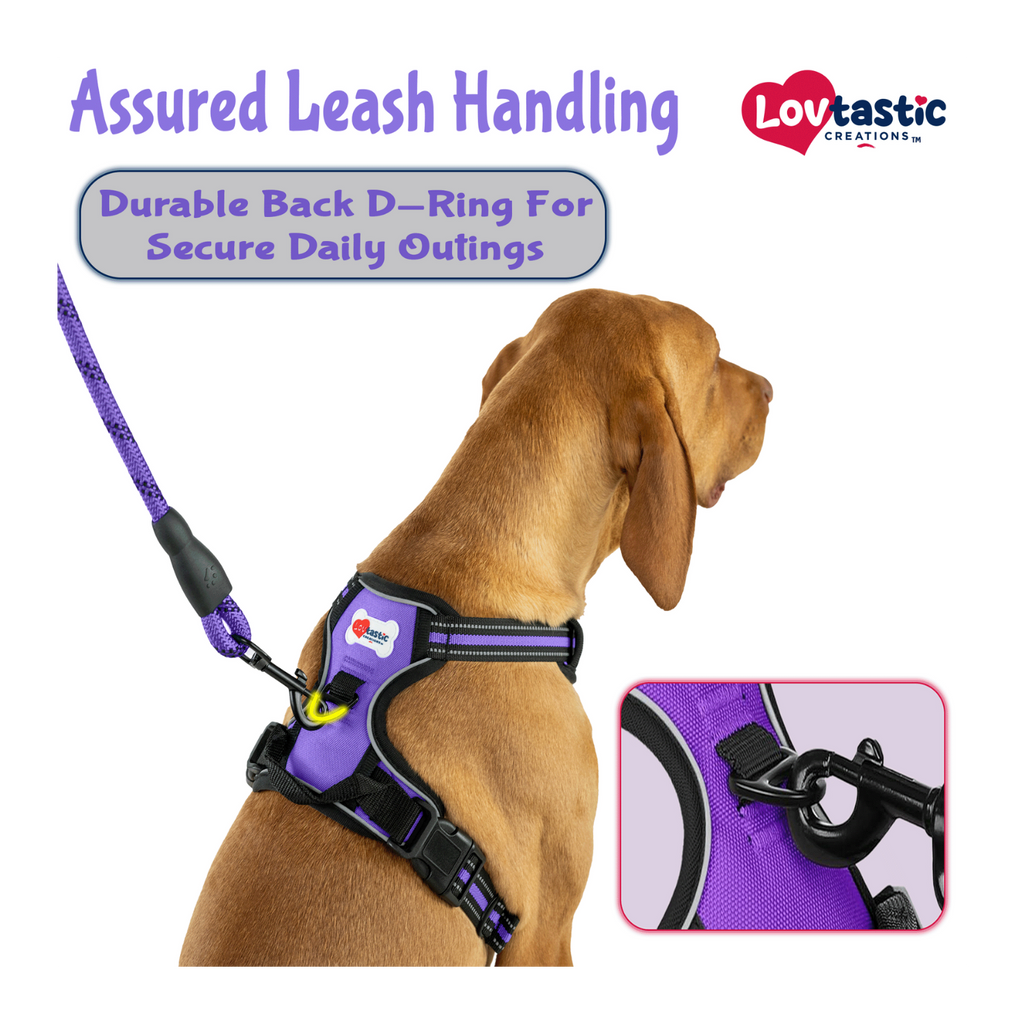 Lovtastic Creations™ No-Pull Dog Harness - with Strong & Durable Dog Leash & Free Poopbag Holder 3pcs Set | Reflective No-Choke Pet Harness