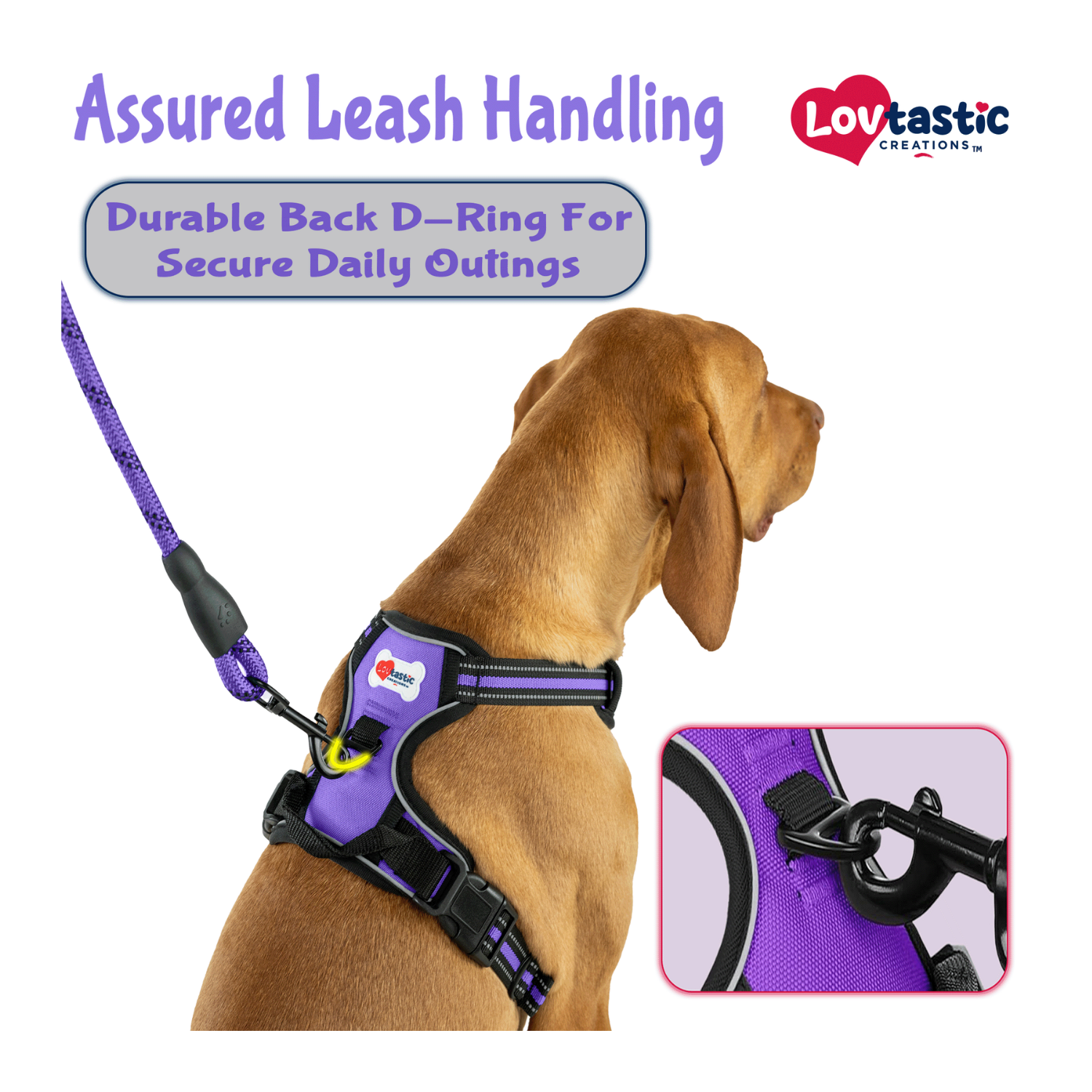 Lovtastic Creations™ No-Pull Dog Harness - with Strong & Durable Dog Leash & Free Poopbag Holder 3pcs Set | Reflective No-Choke Pet Harness