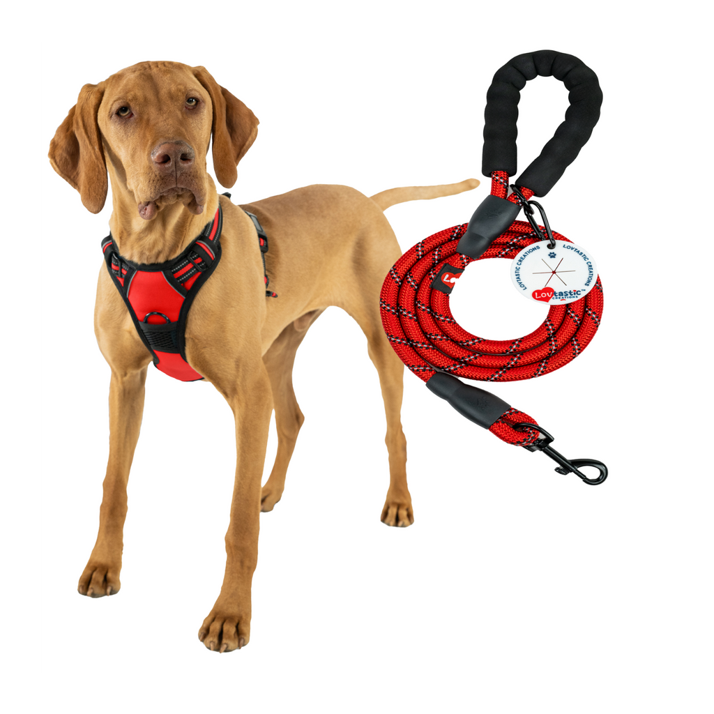 Lovtastic Creations™ No-Pull Dog Harness - with Strong & Durable Dog Leash & Free Poopbag Holder 3pcs Set | Reflective No-Choke Pet Harness