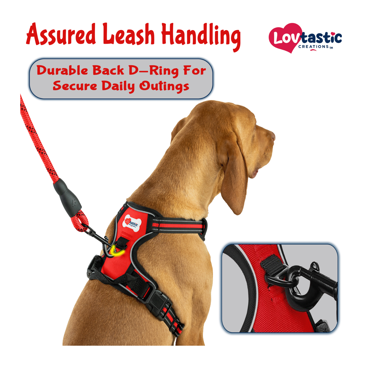 Lovtastic Creations™ No-Pull Dog Harness - with Strong & Durable Dog Leash & Free Poopbag Holder 3pcs Set | Reflective No-Choke Pet Harness