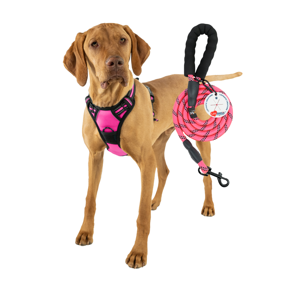 Lovtastic Creations™ No-Pull Dog Harness - with Strong & Durable Dog Leash & Free Poopbag Holder 3pcs Set | Reflective No-Choke Pet Harness