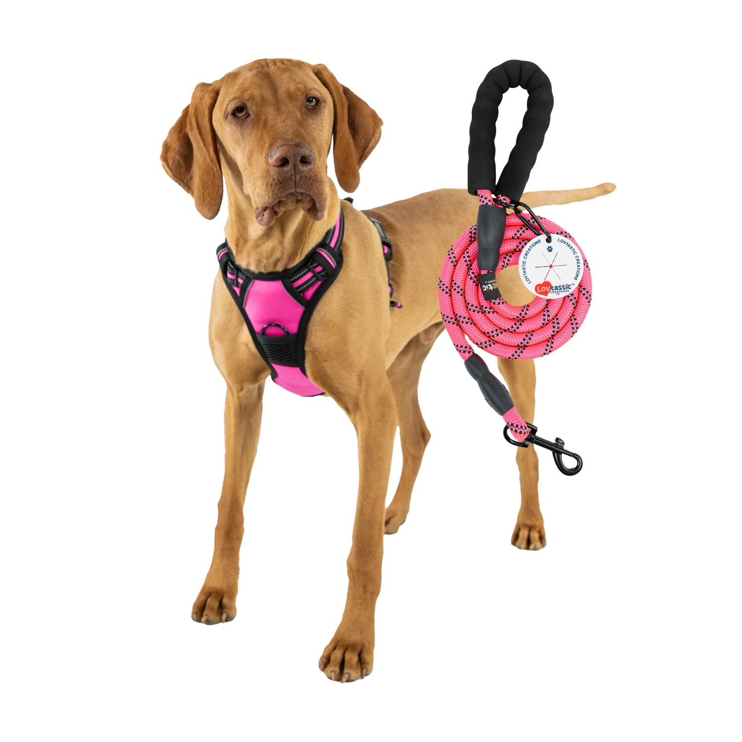 Lovtastic Creations™ No-Pull Dog Harness - with Strong & Durable Dog Leash & Free Poopbag Holder 3pcs Set | Reflective No-Choke Pet Harness