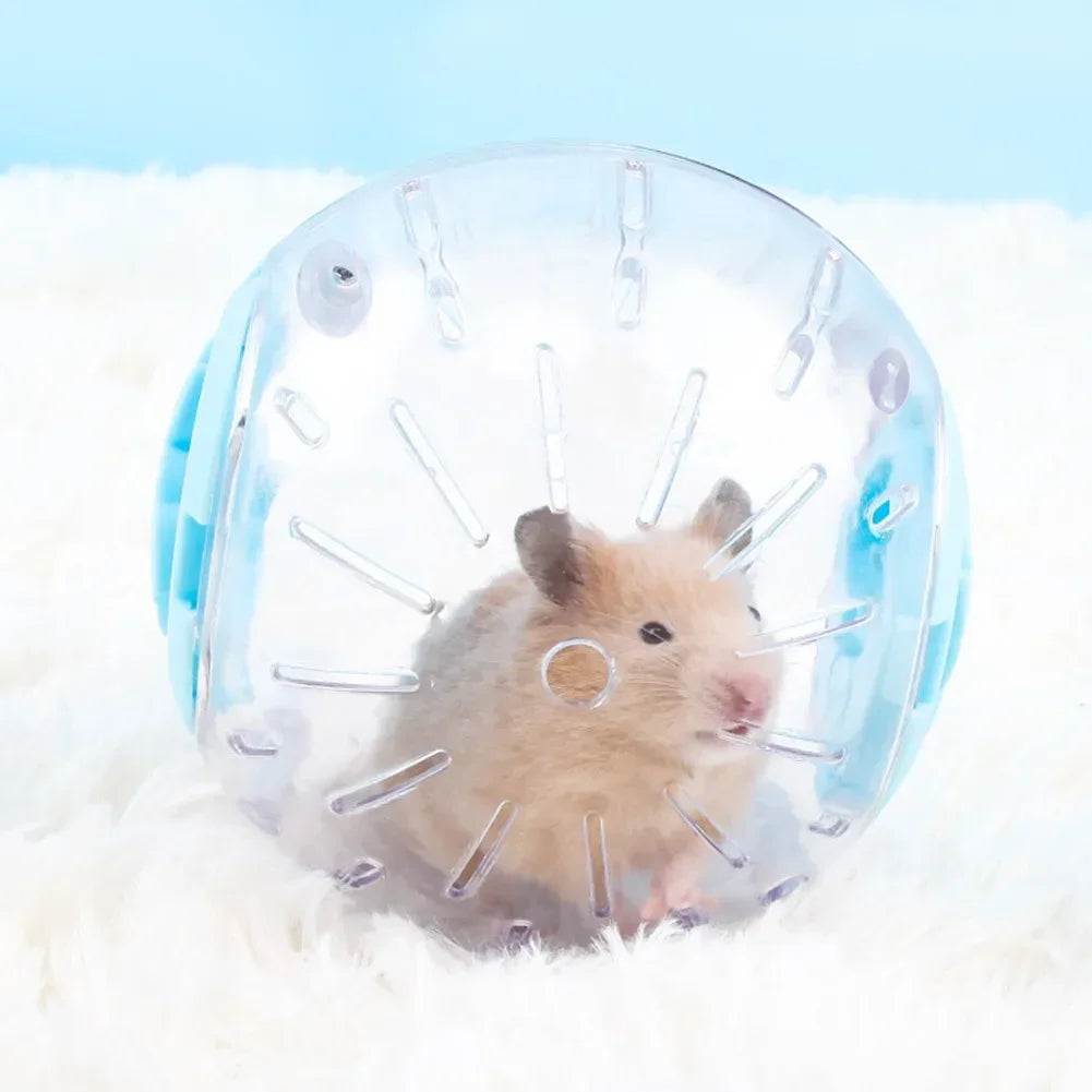 Hamster Gerbil Exercise Ball Play Toy Small Pet Supplies
