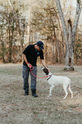 Rope Slip Leash - Large