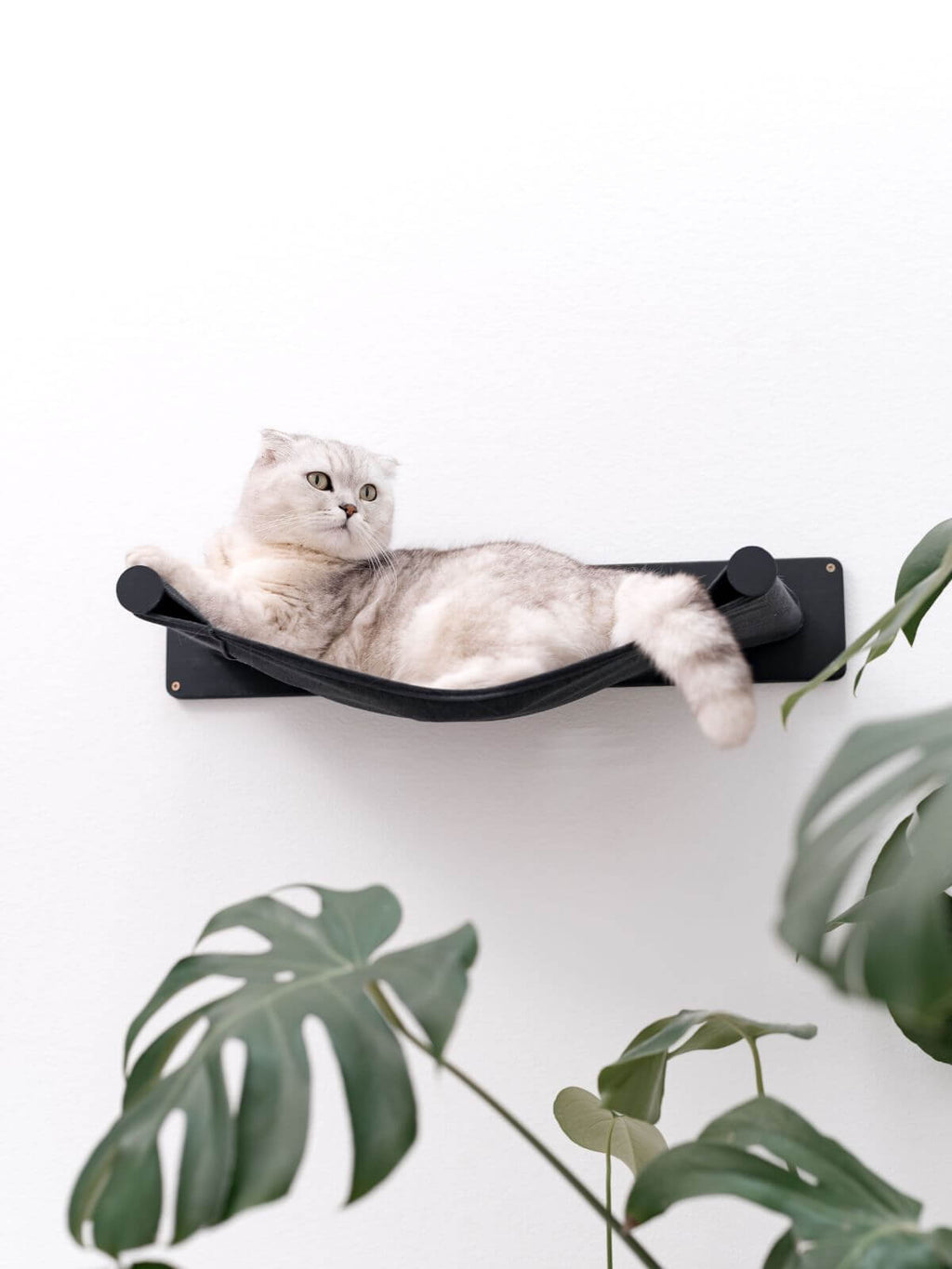 Cat Hammock Shelf