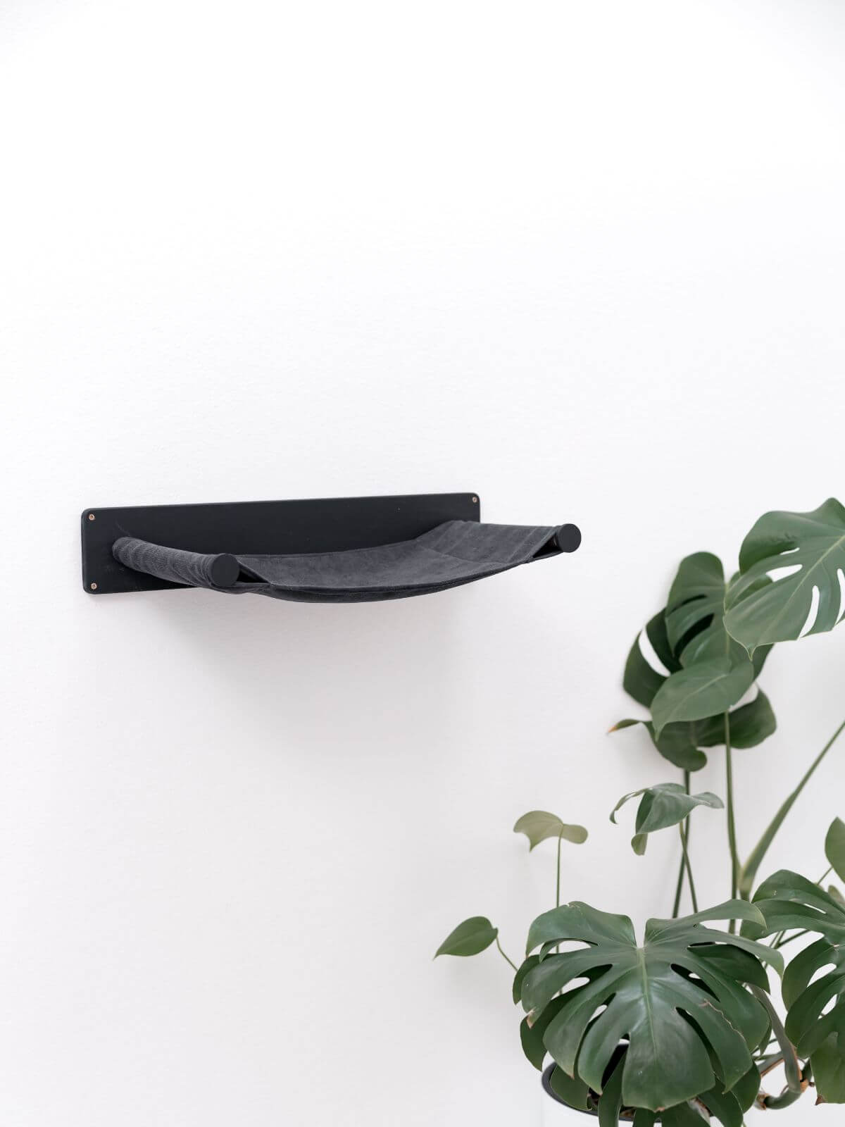 Cat Hammock Shelf