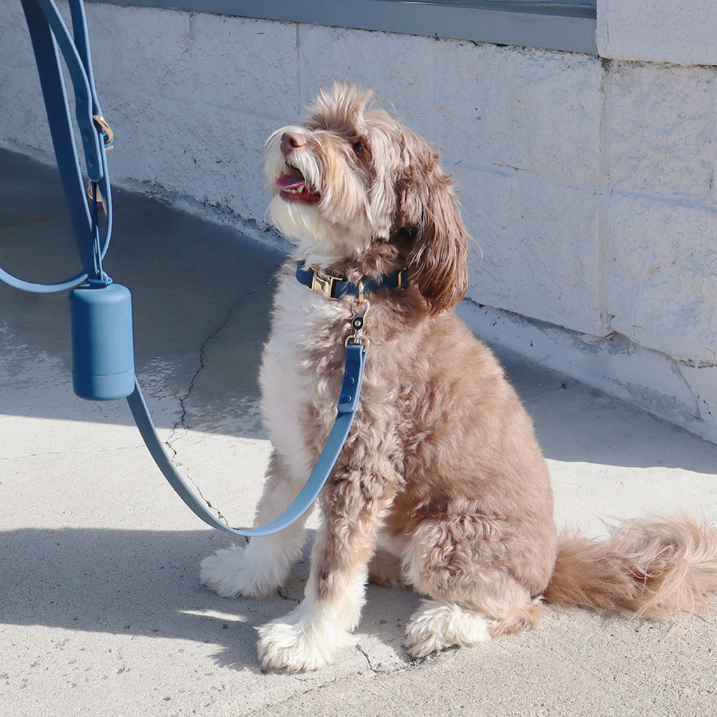 Waterproof Dog Leash | Blue