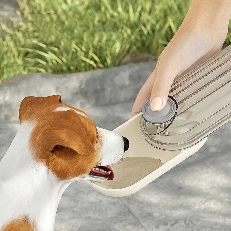 Portable Green Dog Walking Pet Water Cup