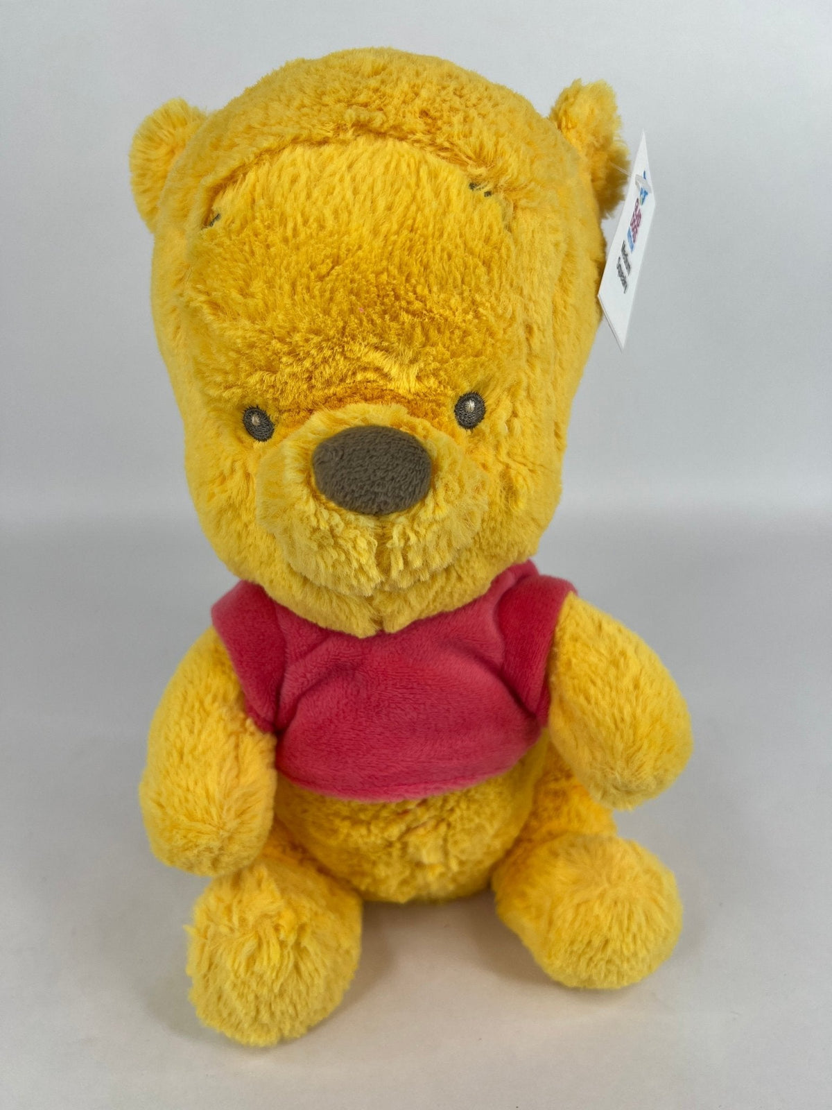 15% OFF! Winnie the Pooh Squeaky & NO Squeak Dog Toys: All Sizes