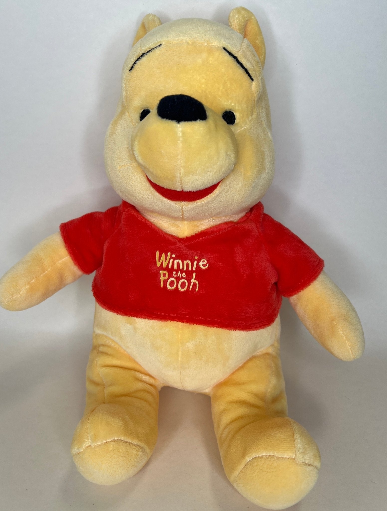 15% OFF! Winnie the Pooh Squeaky & NO Squeak Dog Toys: All Sizes